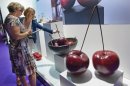 Tendence 2012
