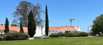 Wo Zukunft Wurzeln schlägt: In der Herdade de Espirra bei Setúbal wachsen jährlich über zwölf Millionen Setzlinge – der Ursprung einer nachhaltig organisierten Papierproduktion.