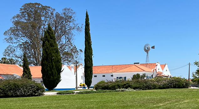 Wo Zukunft Wurzeln schlägt: In der Herdade de Espirra bei Setúbal wachsen jährlich über zwölf Millionen Setzlinge – der Ursprung einer nachhaltig organisierten Papierproduktion.