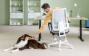 Aktiv-Bürostühle fördern bewegtes Sitzen, Konzentration und Kreativität – ideal für rückenfreundliches Arbeiten.
