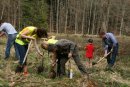 UPM Baumpflanzaktion 2013 in den Fugger´schen Wäldern bei Augsburg