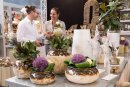 Vivanti Sommer 2017