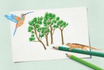 Faber-Castell bewirtschaftet 8.200 Hektar Wald in Brasilien und veröffentlicht im Geschäftsjahr 2024/25 aktuelle Kennzahlen zu Energie, Rohstoffen und sozialen Projekten.